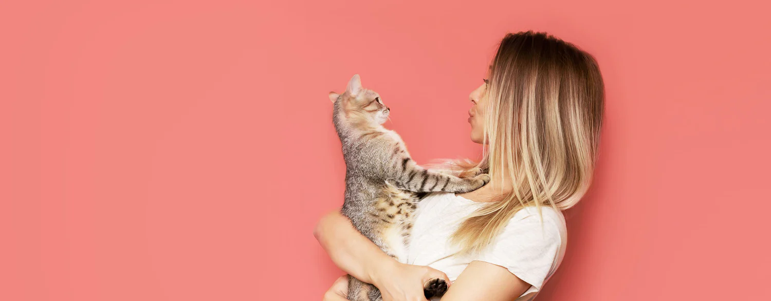 La fraîcheur naturelle pour chat